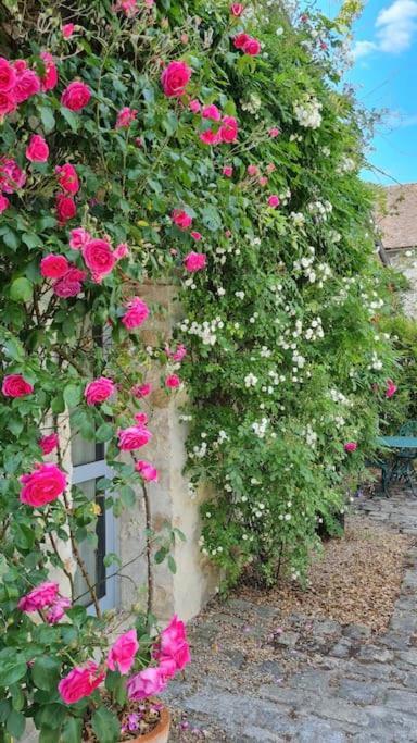 Belle Suite Dans Corps De Ferme - Logement Alicia Villiers-sous-Grez Εξωτερικό φωτογραφία